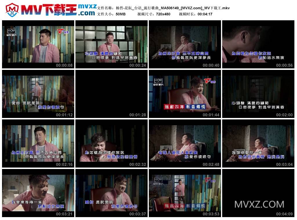 杨哲-是阮_台语_流行歌曲_MA506149